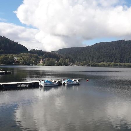 Chalet 3 Etoiles A Gerardmer. Экстерьер фото
