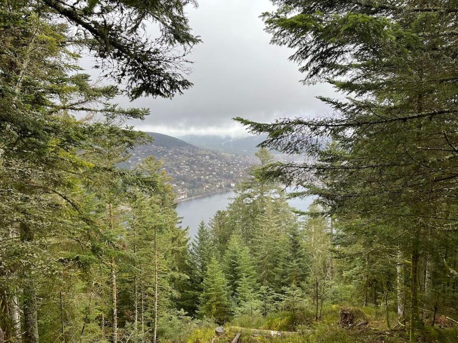 Chalet 3 Etoiles A Gerardmer. Экстерьер фото