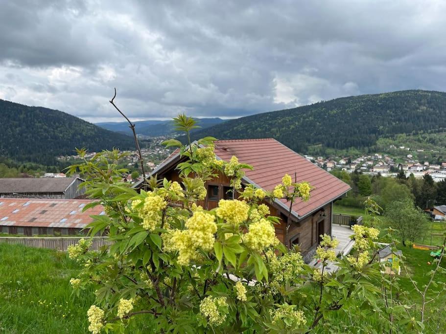 Chalet 3 Etoiles A Gerardmer. Экстерьер фото