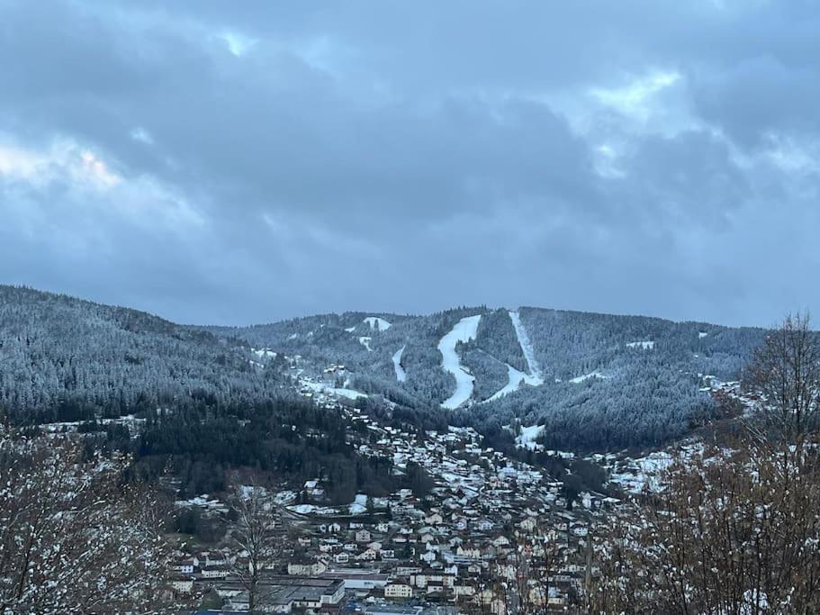 Chalet 3 Etoiles A Gerardmer. Экстерьер фото