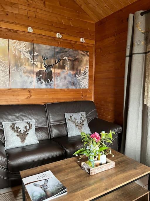 Chalet 3 Etoiles A Gerardmer. Экстерьер фото