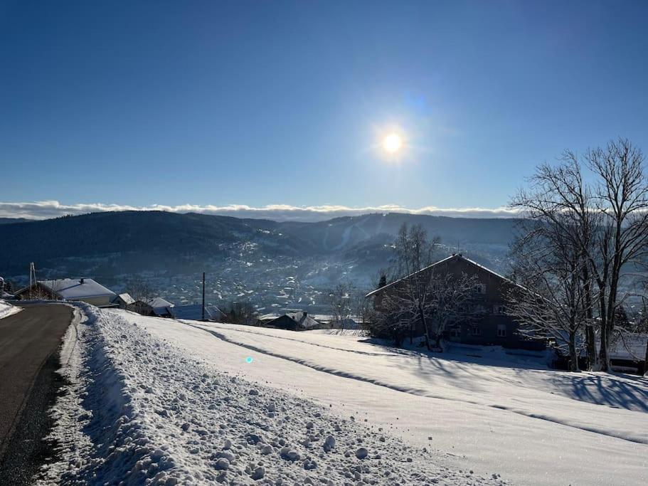 Chalet 3 Etoiles A Gerardmer. Экстерьер фото