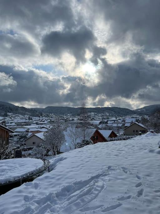 Chalet 3 Etoiles A Gerardmer. Экстерьер фото