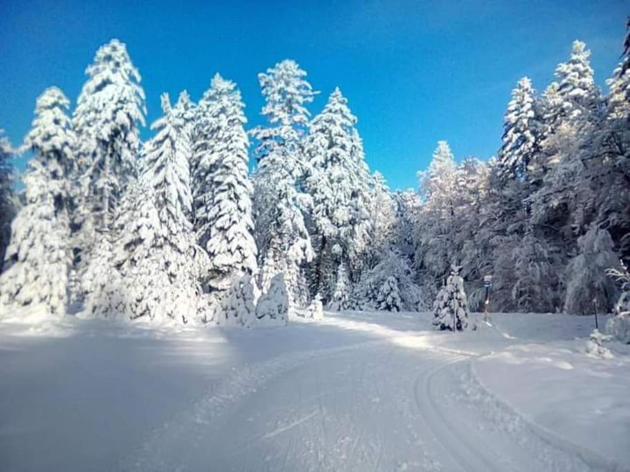 Chalet 3 Etoiles A Gerardmer. Экстерьер фото