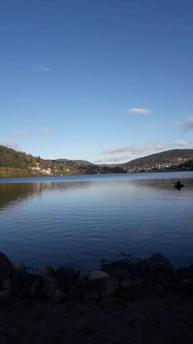 Chalet 3 Etoiles A Gerardmer. Экстерьер фото