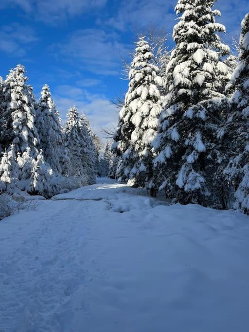 Chalet 3 Etoiles A Gerardmer. Экстерьер фото