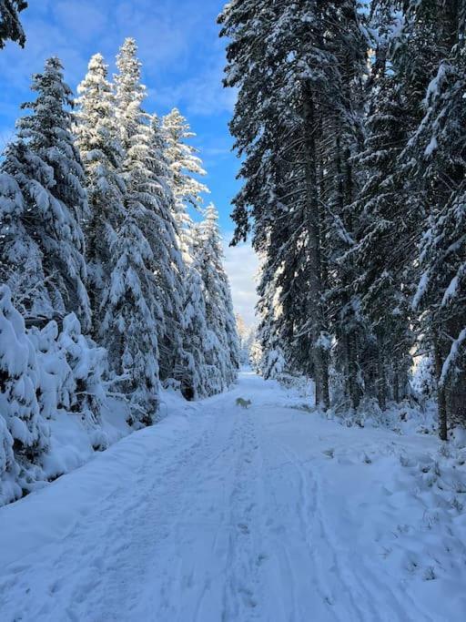 Chalet 3 Etoiles A Gerardmer. Экстерьер фото
