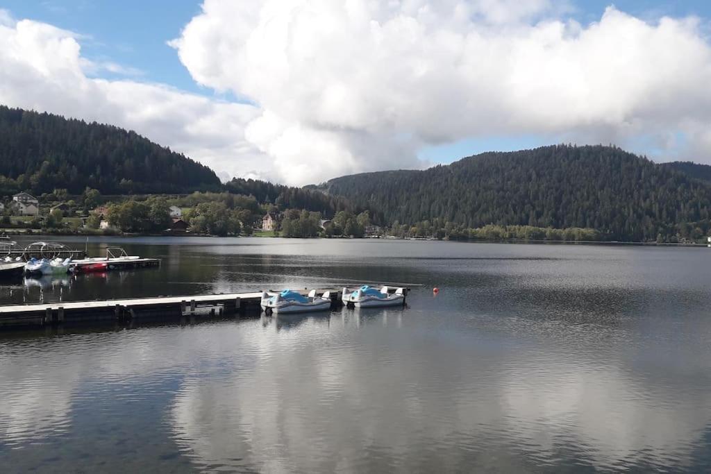 Chalet 3 Etoiles A Gerardmer. Экстерьер фото