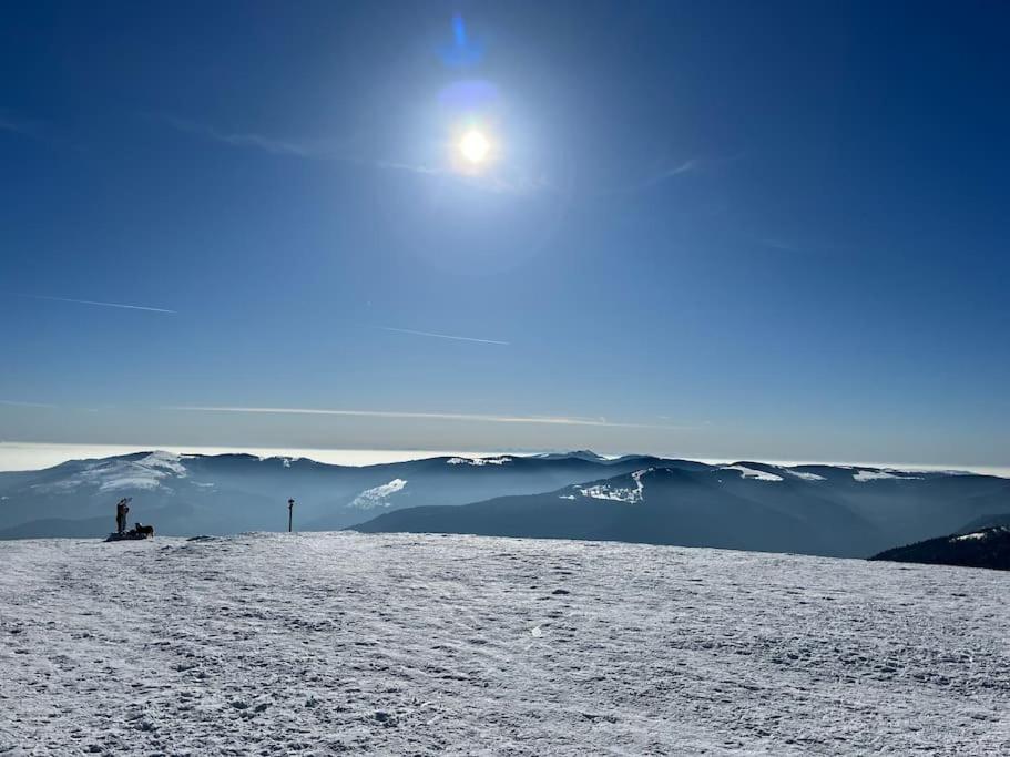 Chalet 3 Etoiles A Gerardmer. Экстерьер фото
