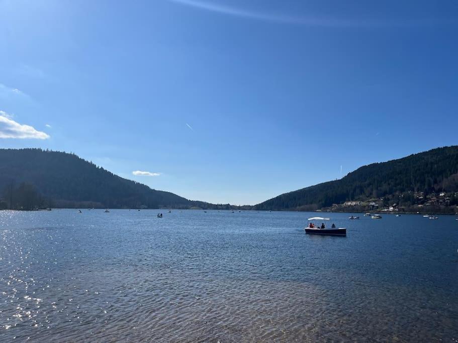 Chalet 3 Etoiles A Gerardmer. Экстерьер фото